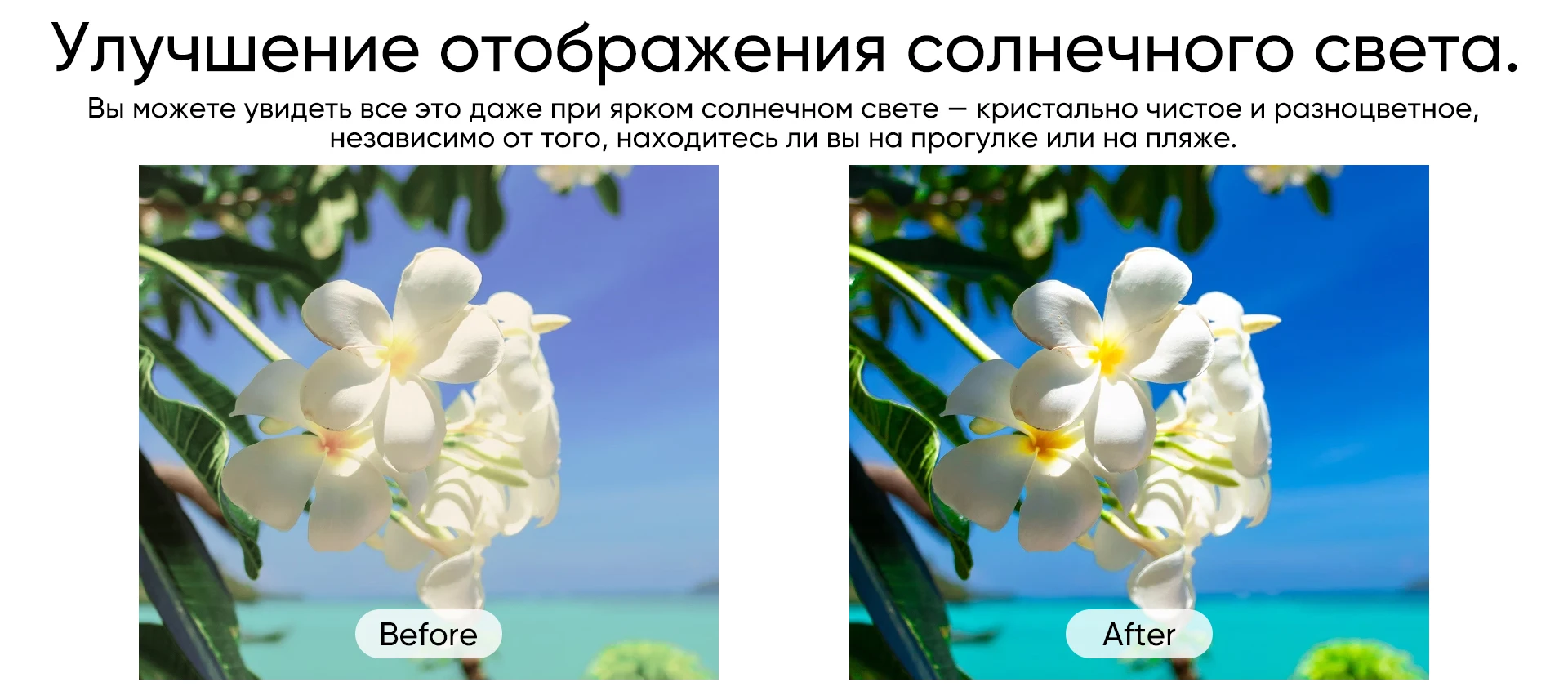 kf S42ed1c278a454eaf9db2ece768972a4c5