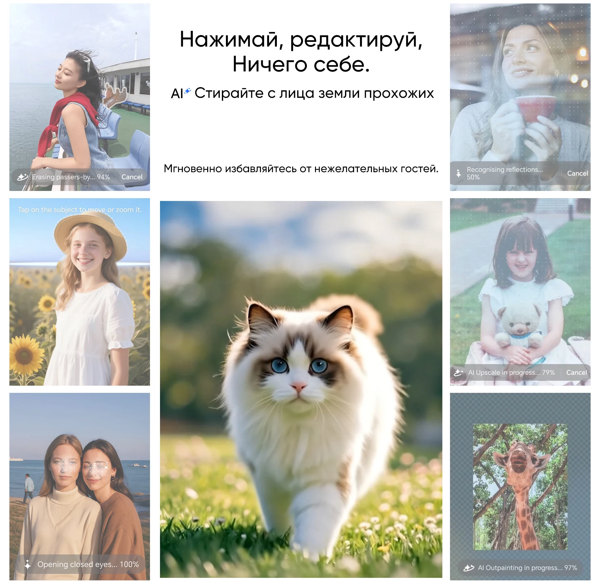 kf S7996a7d9085542ee86a1be63353caa5cN